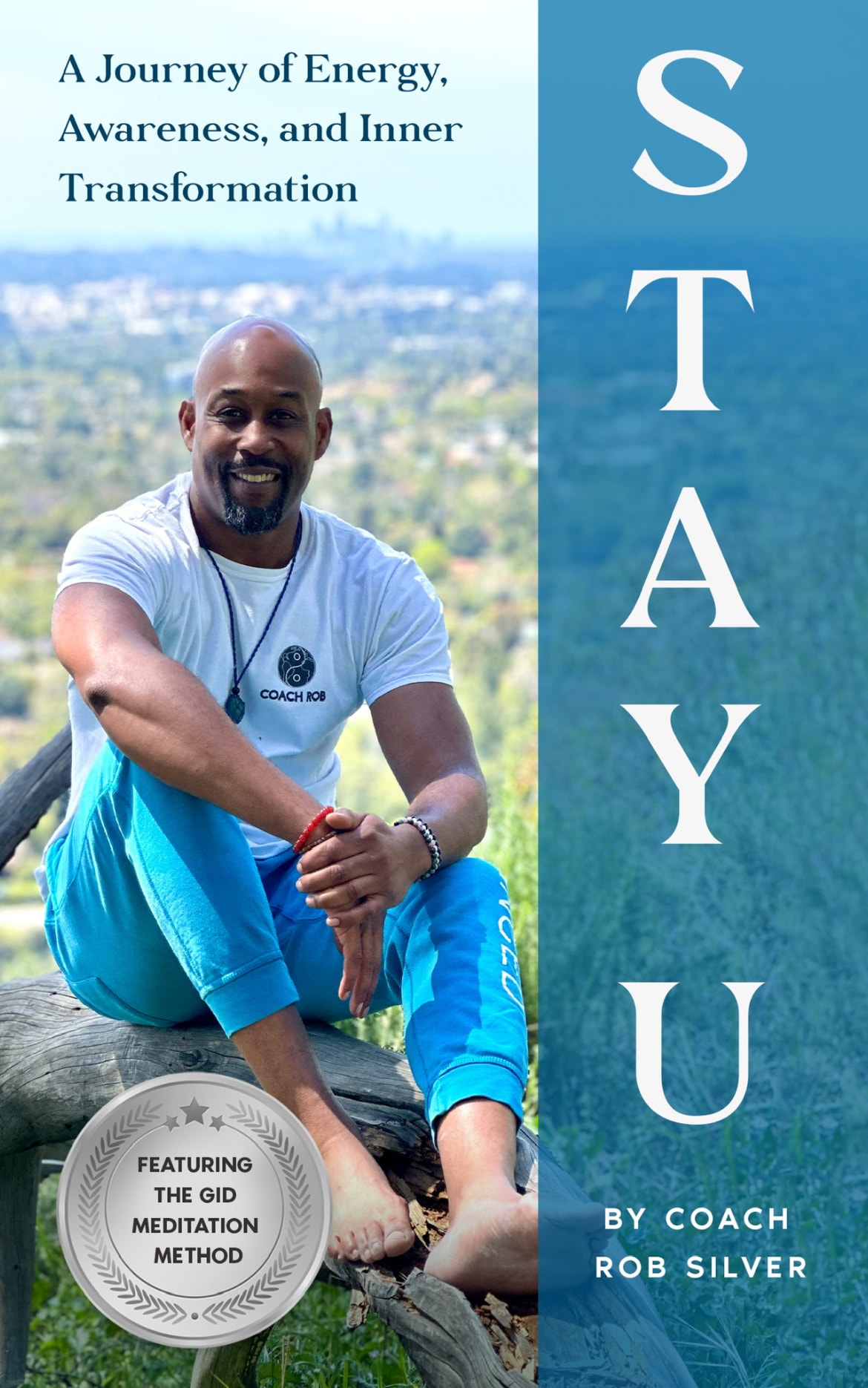 Stay U book cover